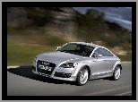 Audi TT, Srebrne